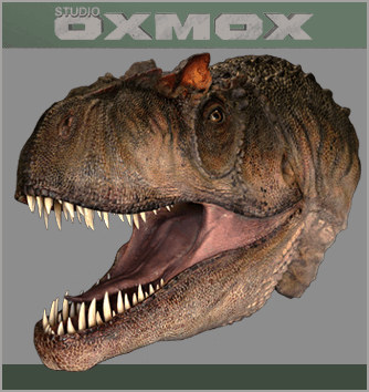 Allosaurus life size display head, neutral pose, dinosaur life size display, sculpted by Studio Oxmox