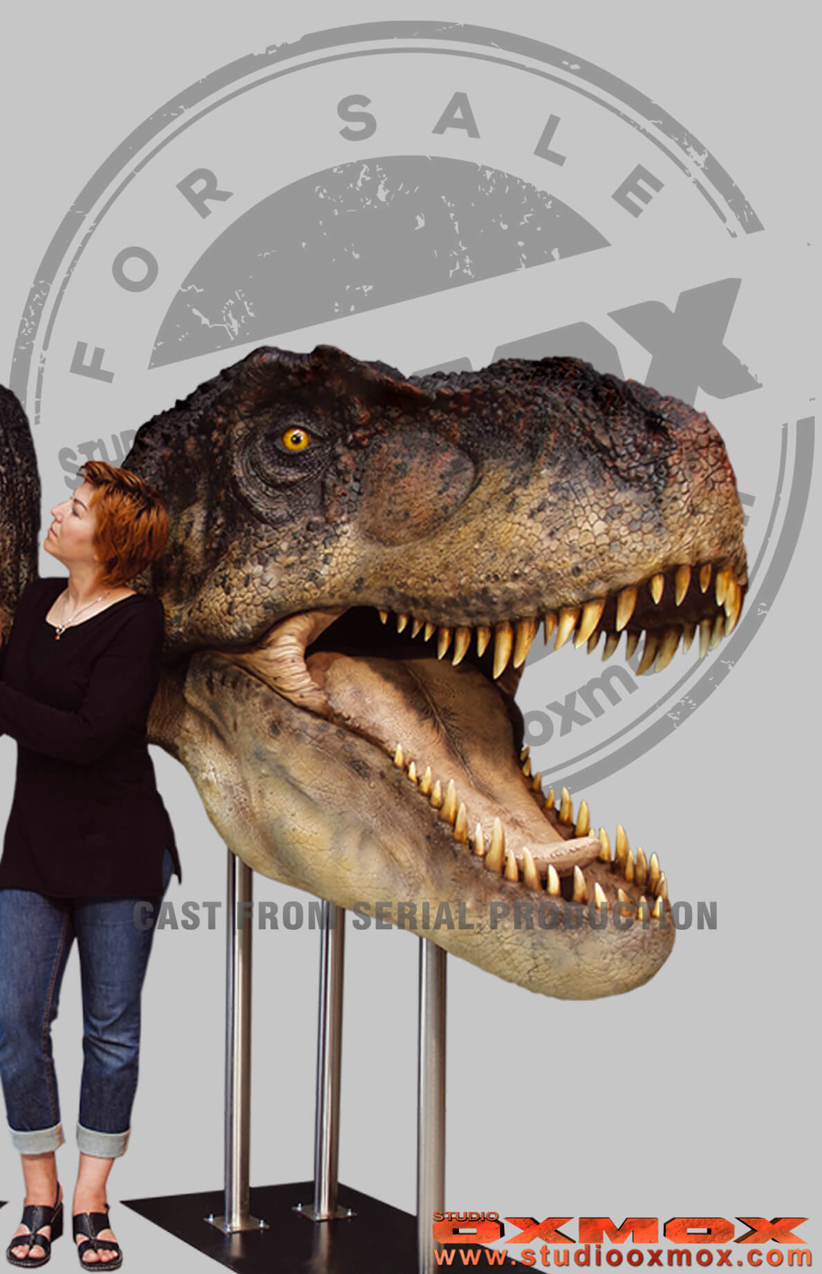 Tyrannosaurus bust life size for sale