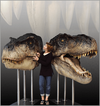T-REX head, Tyrannosaurus Rex dinosaur life size display, sculpted by Studio Oxmox